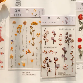 Estetik El Kitabı Dekoratif DIY Scrapbooking Sticker Papatya Iris Şanslı Çim Stargazer Okaliptüs Yaprakları Fern PET Düz Çıkartmalar  5